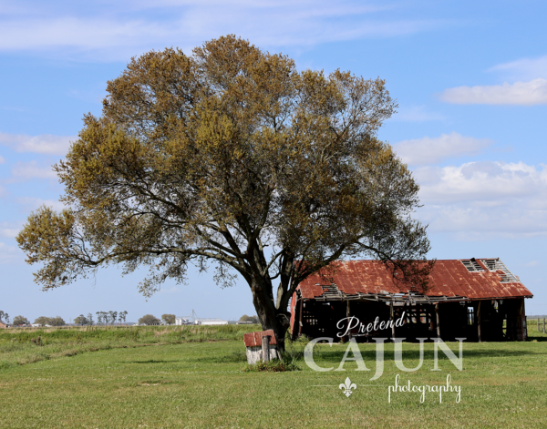 Barn in Gueydan